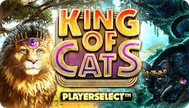 KING OF CATS MEGAWAYS รีวิว